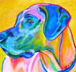 Art Bootcamp - Pets & Paint! Acrylic Paint & Mixed Media December 2024