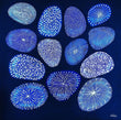 Adult Weekly Art Workshop: Painting with Colour, Patterns and Symbols - Term 4, 2025